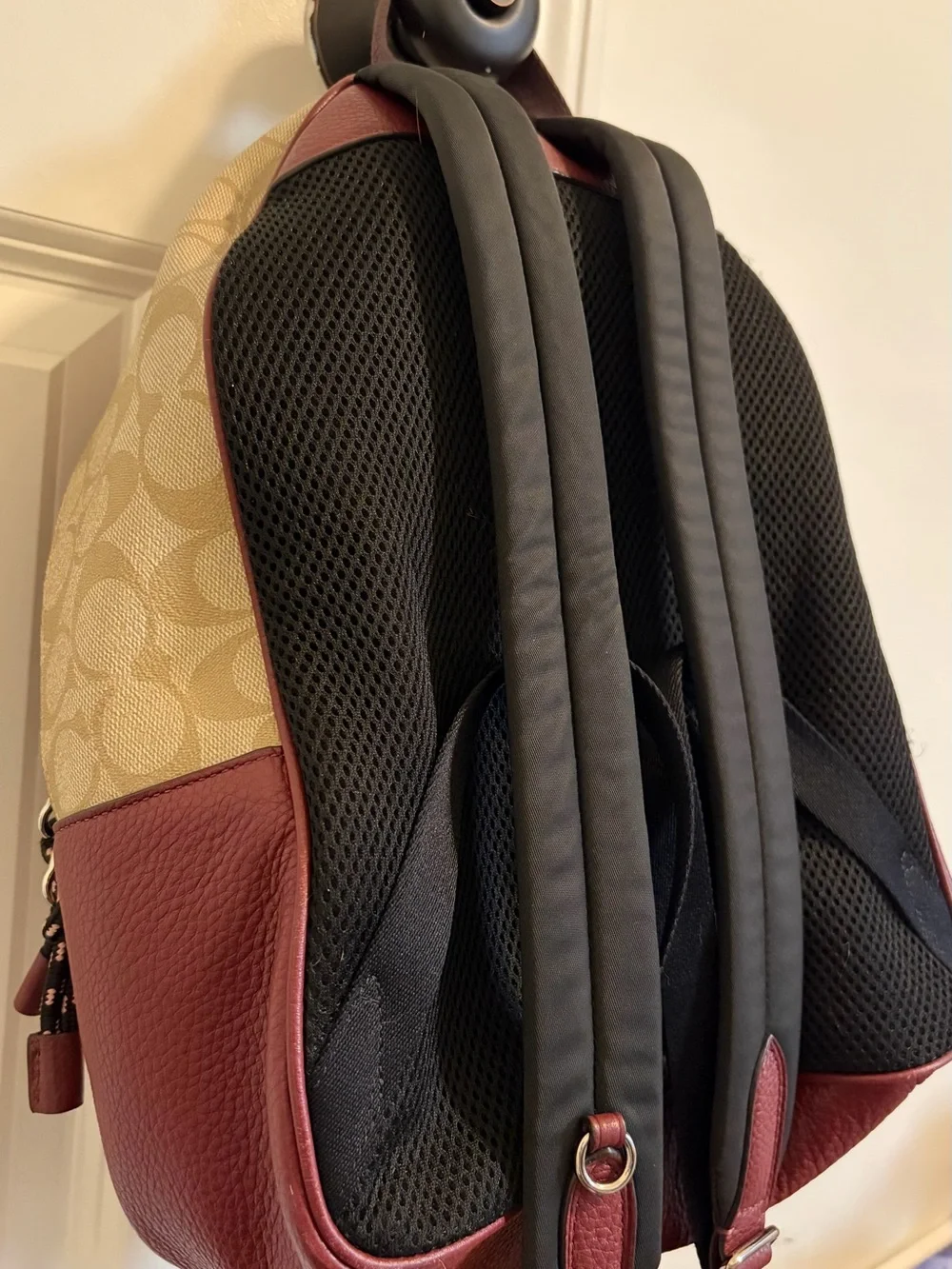 Coach Rexy By Guang Yu Charlie Backpack In Signature Canvas